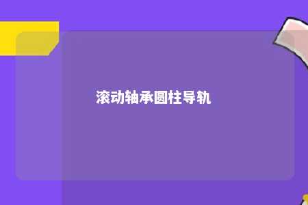 滚动轴承圆柱导轨 